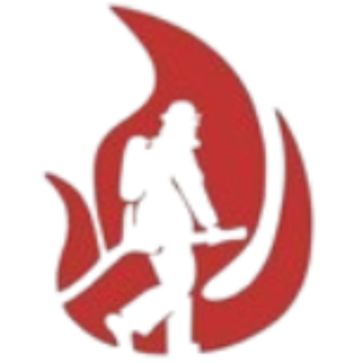 Website-Icon